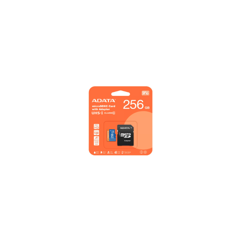 MicroSd 256