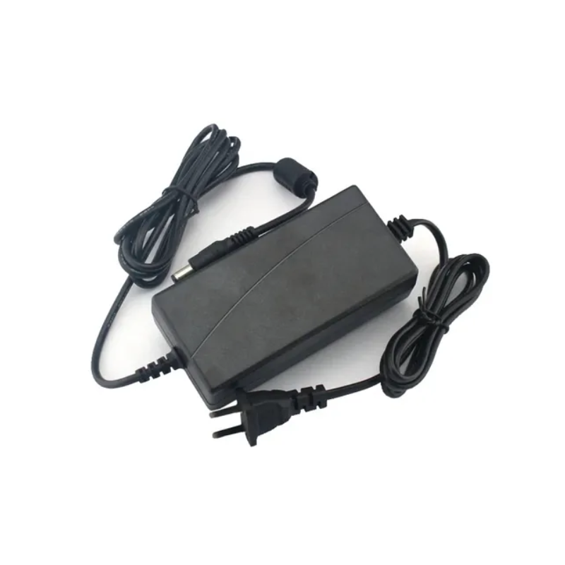 Cargador de 12v 5A