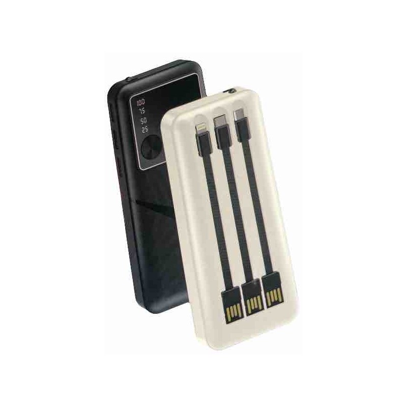 Power Bank R19