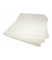 100 Laminas carta 175mic.