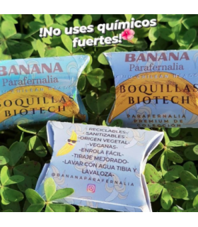 Boquilla Biotech Banana