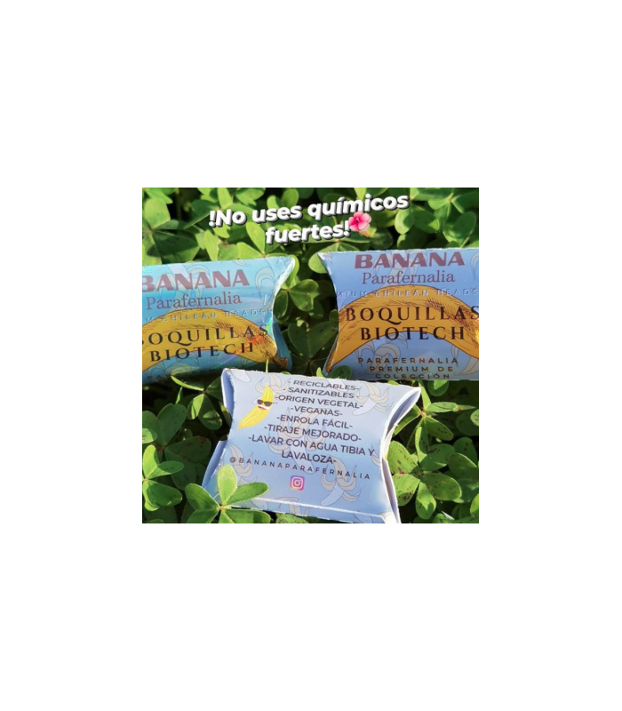 Boquilla Biotech Banana